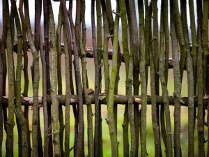 Lire la suite à propos de l’article Treillis de branches d'arbre – Créer un treillis à partir de bâtons