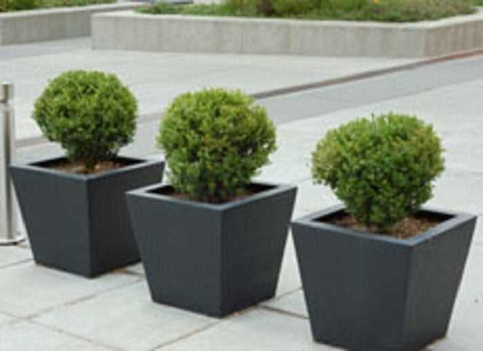 Lire la suite à propos de l’article Arbustes en pot : cultiver des arbustes dans des conteneurs