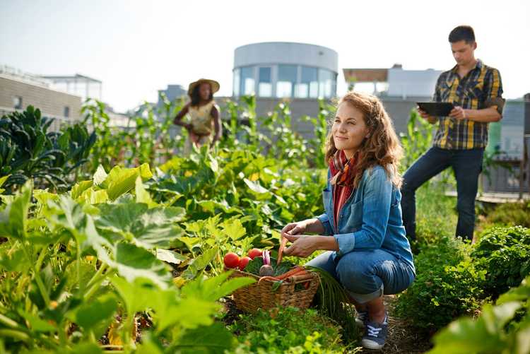 Lire la suite à propos de l’article Différents types et styles de jardinage : quel type de jardinier êtes-vous