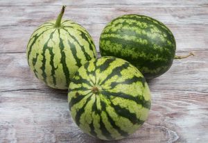 Lire la suite à propos de l’article Informations sur les petits melons à fleurs : prendre soin des pastèques à petites fleurs