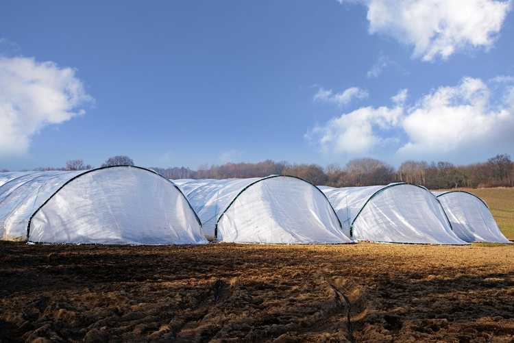 Lire la suite à propos de l’article Qu'est-ce qu'un tunnel solaire – En savoir plus sur le jardinage avec des tunnels solaires