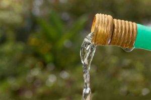Lire la suite à propos de l’article Conseils de filtration des tuyaux d’arrosage – Comment purifier l’eau des tuyaux d’arrosage