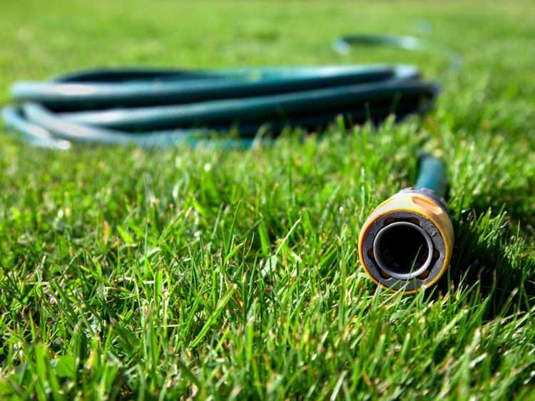 Lire la suite à propos de l’article Informations sur les tuyaux d'arrosage : découvrez comment utiliser les tuyaux dans le jardin