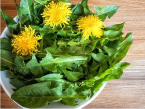 Lire la suite à propos de l’article Manger des mauvaises herbes – Une liste de mauvaises herbes comestibles dans votre jardin