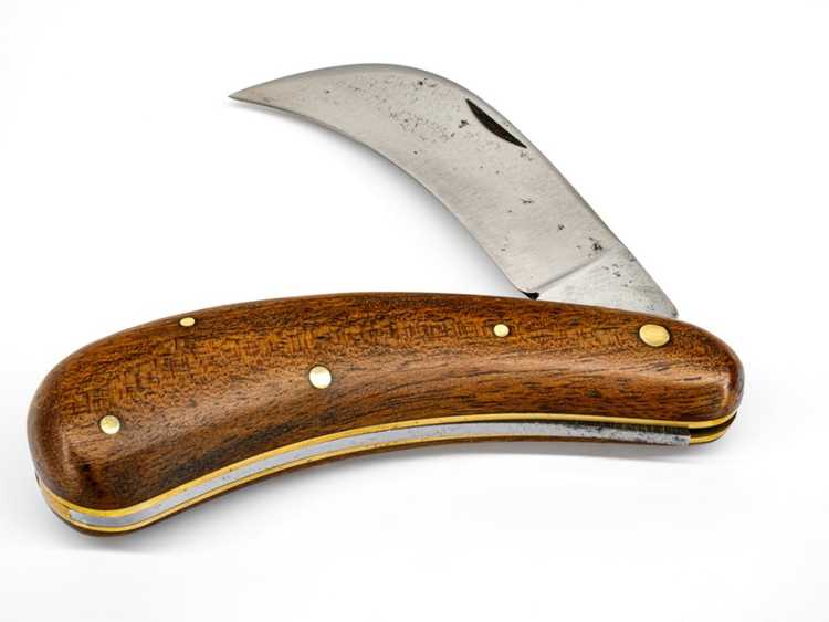 You are currently viewing Qu'est-ce qu'un couteau de taille – Comment utiliser un couteau de taille dans le jardin