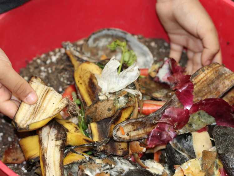 Lire la suite à propos de l’article Idées de compostage pour les enfants : comment composter avec les enfants