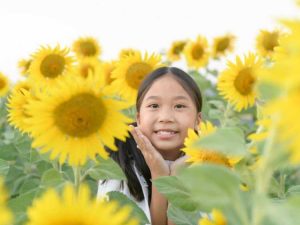 Lire la suite à propos de l’article Plantes amusantes pour les enfants