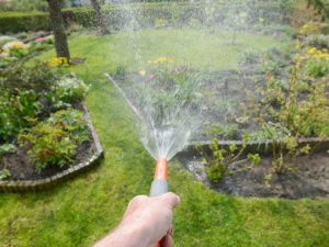 Lire la suite à propos de l’article Arroser le jardin – Conseils sur comment et quand arroser le jardin