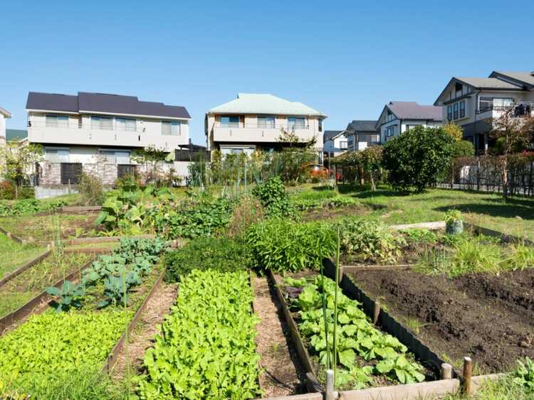 Lire la suite à propos de l’article Avantages d’un jardin de banlieue