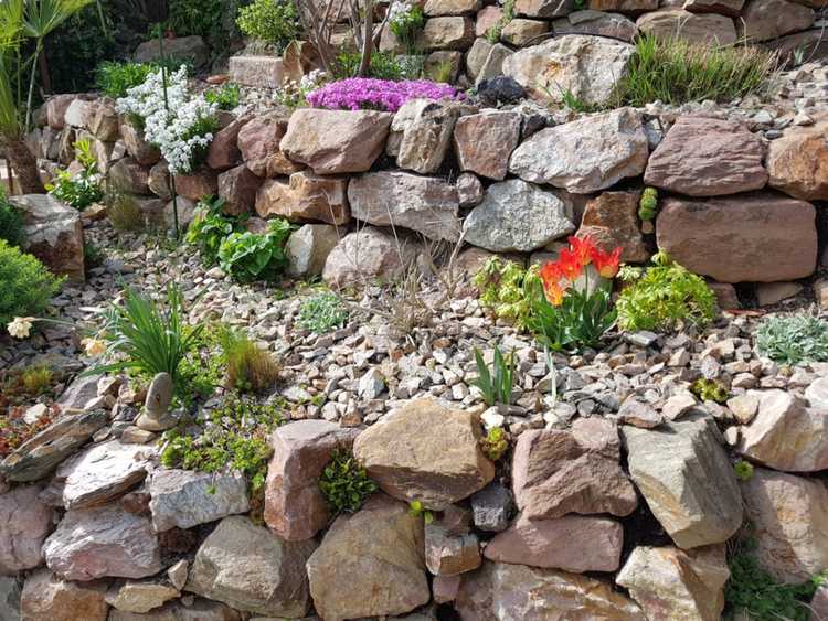 Lire la suite à propos de l’article Apprenez-en un peu sur les jardins de rocaille