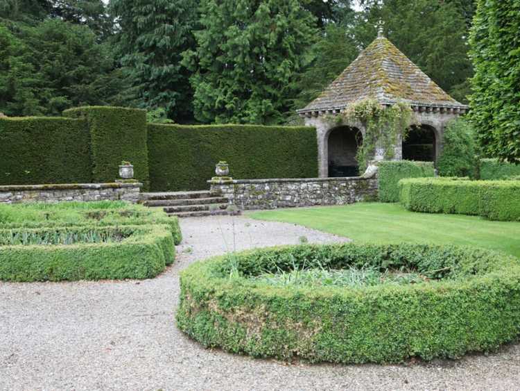 Lire la suite à propos de l’article Apprenez les éléments de base d'un jardin anglais