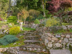 Lire la suite à propos de l’article Conseils pour arroser un jardin à flanc de colline