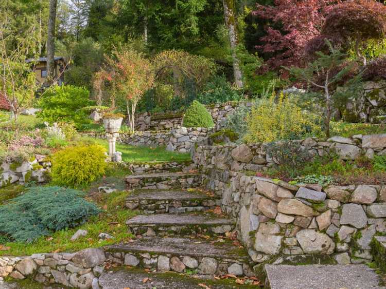 Lire la suite à propos de l’article Conseils pour arroser un jardin à flanc de colline