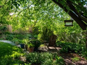Lire la suite à propos de l’article Jardinage dans le jardin ombragé