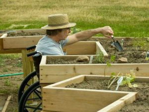 Lire la suite à propos de l’article Conception de jardin activée – En savoir plus sur le jardinage avec des personnes handicapées