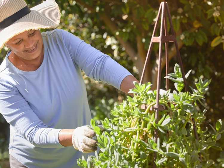 Lire la suite à propos de l’article Jardiner pour la santé – Maintenir de saines habitudes de jardinage