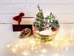 Lire la suite à propos de l’article Idées de terrarium hivernal : comment créer un mini terrarium de vacances