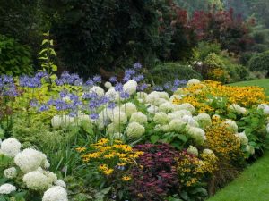 Lire la suite à propos de l’article Comment construire un parterre de fleurs – Commencer un parterre de fleurs à partir de zéro