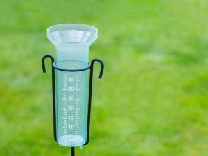 Lire la suite à propos de l’article Qu'est-ce qu'un pluviomètre : informations sur le pluviomètre de jardin et types de pluviomètres