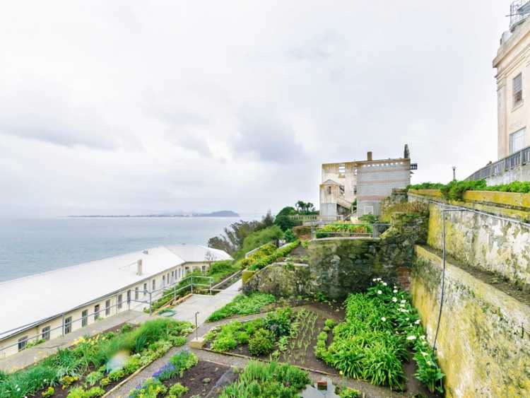 You are currently viewing Potager de bord de mer : conseils pour cultiver des légumes sur la côte