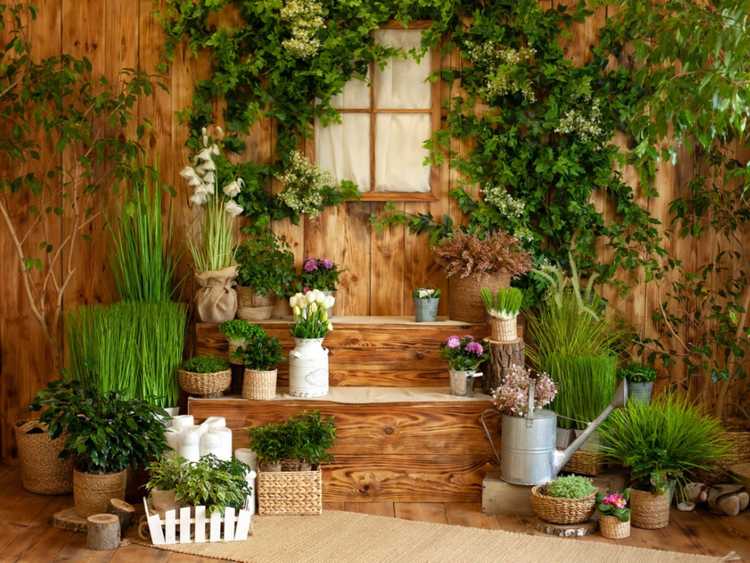 Lire la suite à propos de l’article Plantes pour salons de jardin et patios