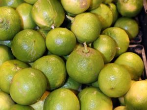 Lire la suite à propos de l’article Conseils de culture de la bergamote – Prendre soin d’une bergamote