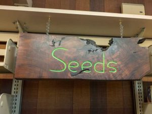 Lire la suite à propos de l’article Bibliothèque de prêt de semences : comment démarrer une bibliothèque de semences