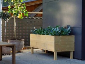 Lire la suite à propos de l’article Conception de jardin de table : comment construire des boîtes de jardin de table