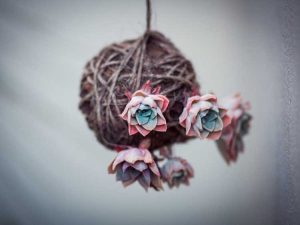 Lire la suite à propos de l’article Kokedama Succulent Ball – Faire un Kokedama avec des plantes succulentes