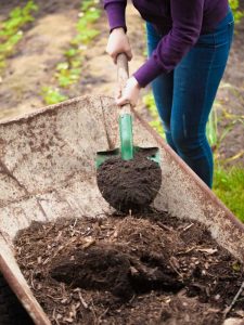 Lire la suite à propos de l’article Informations sur le paillis en feuilles : comment utiliser le paillage en feuilles dans le jardin