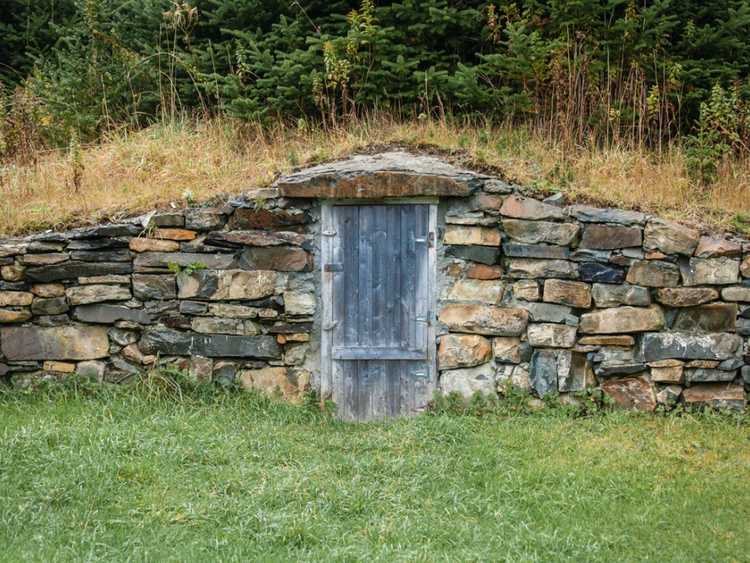 You are currently viewing Qu'est-ce qu'une cave à racines – Conseils pour utiliser et construire une cave à racines