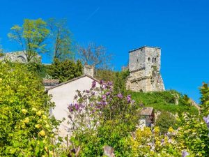 Lire la suite à propos de l’article Conception de jardin médiéval – Cultiver des fleurs et des plantes de jardin médiéval