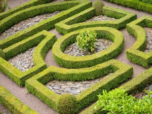 Lire la suite à propos de l’article Conception de jardin parterre : comment créer un jardin parterre