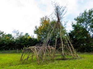 Lire la suite à propos de l’article Construire des structures en saule vivant : conseils pour l'entretien du dôme en saule