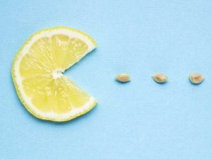 Lire la suite à propos de l’article Propagation de graines de citron : pouvez-vous faire pousser une graine de citronnier