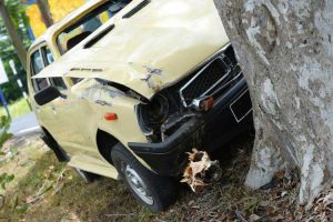 Lire la suite à propos de l’article Dommages causés aux arbres par des véhicules : réparer un arbre heurté par une voiture