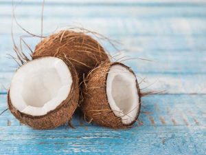 Lire la suite à propos de l’article Comment utiliser la noix de coco dans le jardin