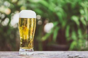 Lire la suite à propos de l’article À propos de l'engrais pour plantes à bière : conseils sur l'utilisation de la bière sur les plantes et la pelouse
