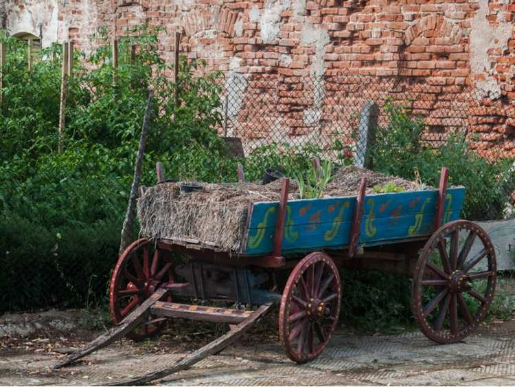 You are currently viewing Chariots utilitaires de jardin – Différents types de chariots de jardin