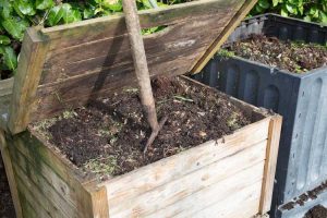 Lire la suite à propos de l’article Mon compost est-il mort : conseils pour faire revivre un vieux compost
