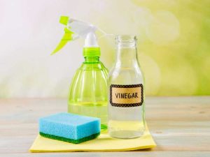 Lire la suite à propos de l’article Nettoyer avec du vinaigre : Utiliser du vinaigre pour nettoyer les pots dans le jardin