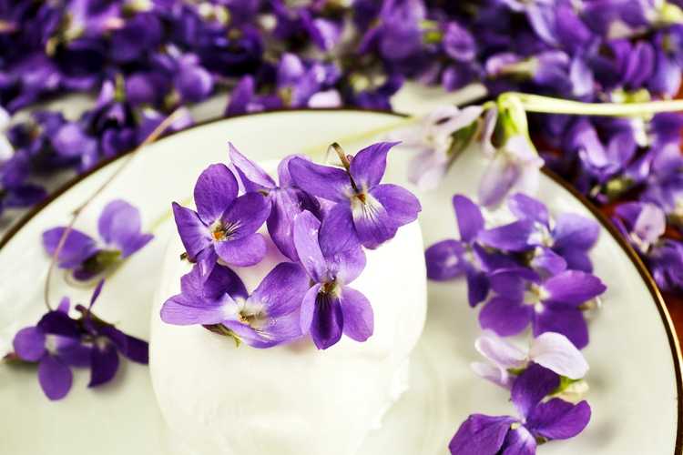 You are currently viewing Les violettes sont-elles comestibles – Utilisations des fleurs violettes dans la cuisine