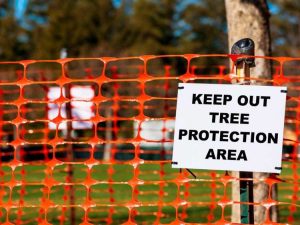 Lire la suite à propos de l’article Protection des arbres sur les chantiers de construction – Prévenir les dommages aux arbres dans les zones de travaux